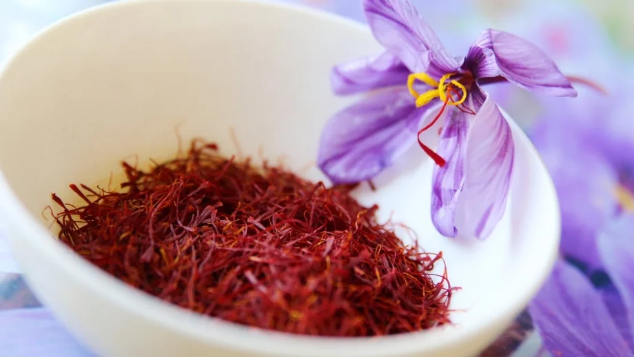 5000 земеделци в България отглеждат шафран 
