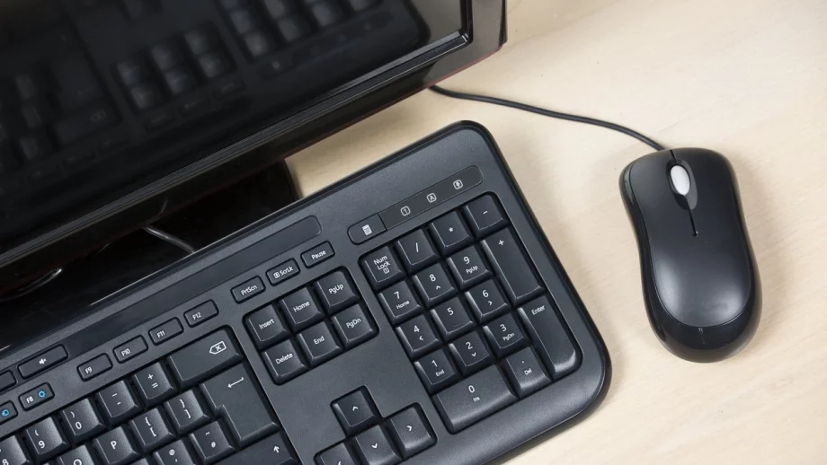 Дистанционното електронно гласуване ще струва около 1,5 млн. лева