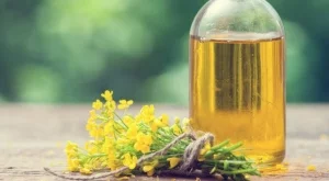 Масло от рапица  за балансиран хранителен режим