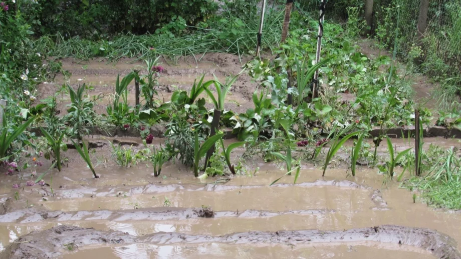 След дъждовете най-сериозна е обстановката в Плевенско