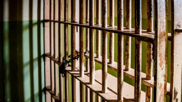 ЛиЛана засега остава в ареста, брат ѝ излиза със солена гаранция