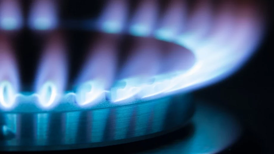 Доставките на американски газ ли доведоха до искане за по-ниска цена на газа?