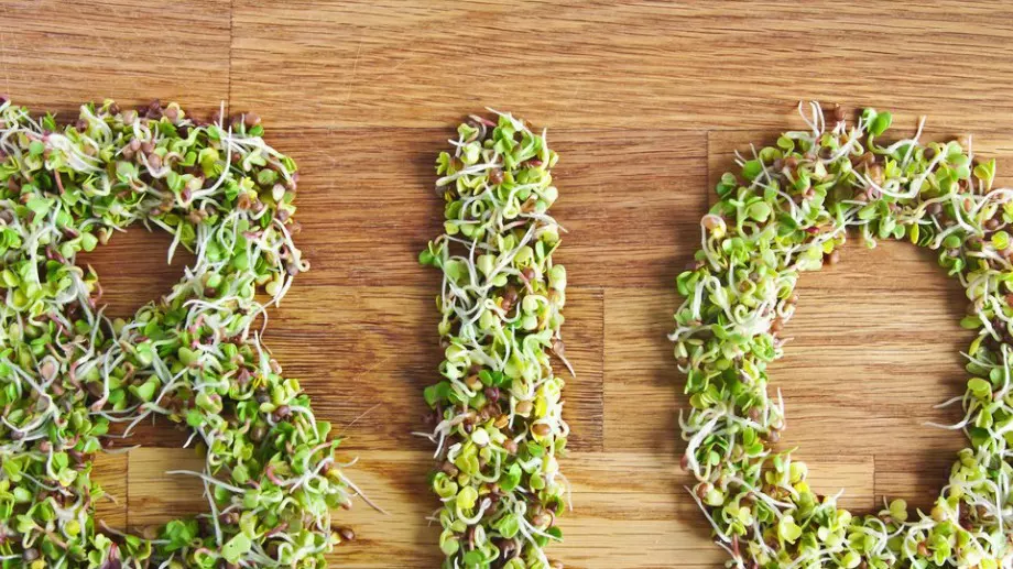 По-строги правила за етикетирането на екологични продукти