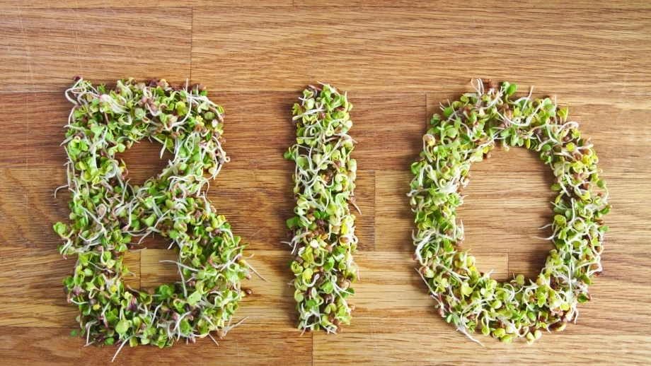 Биопродуктите ще поевтиняват, но бавно 