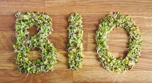 Сметната палата: Контролът върху биохрани и продукти не е достатъчно ефективен