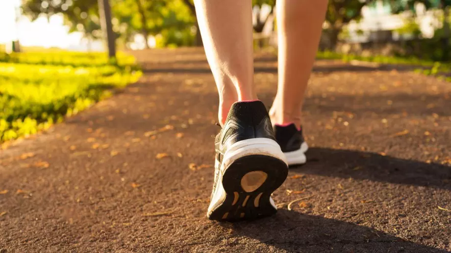 5 минути разходка на всеки час предпазва от обездвижване