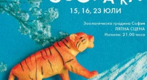 Благотворително Кино в Зоопарка