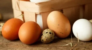 Каква е разликата между белите и кафявите яйца