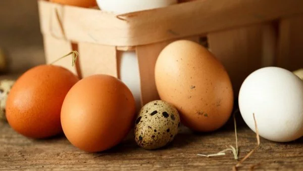 Каква е разликата между белите и кафявите яйца