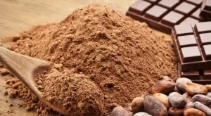 Какаото подобрява мозъчната дейност