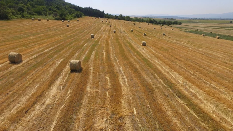 Къде в България земеделската земя е най-скъпа и най-евтина?