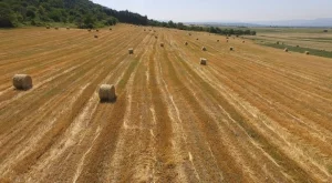 Румъния страда от "исторически" недостиг на работници в земеделието