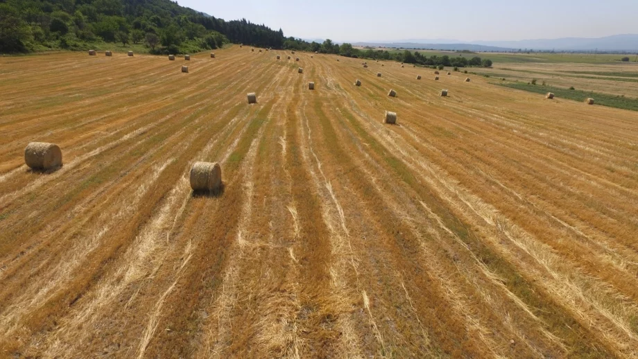 Публикуван е индикативен график за директните плащания за земеделците