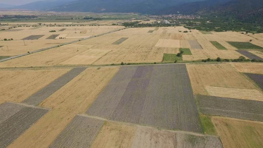 Започва приемът на документи за двойно заявени площи