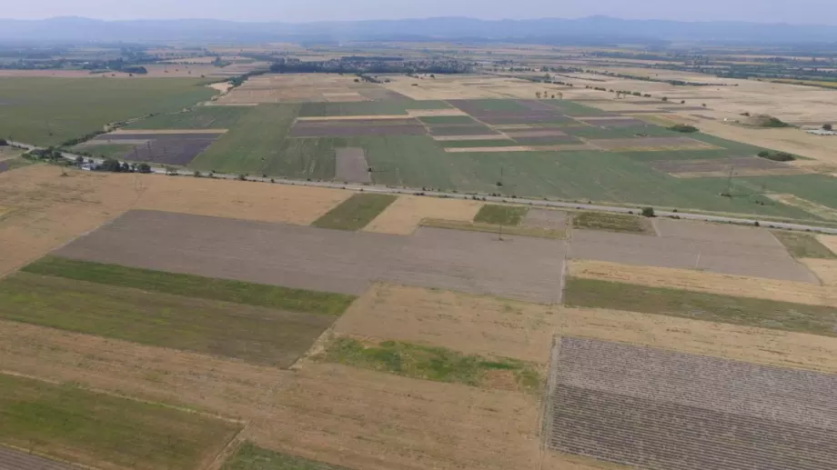 Започва прием по още 8 мерки и подмерки от ПРСР през 2021 г. 