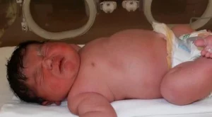 Защо бебетата гиганти са проблем