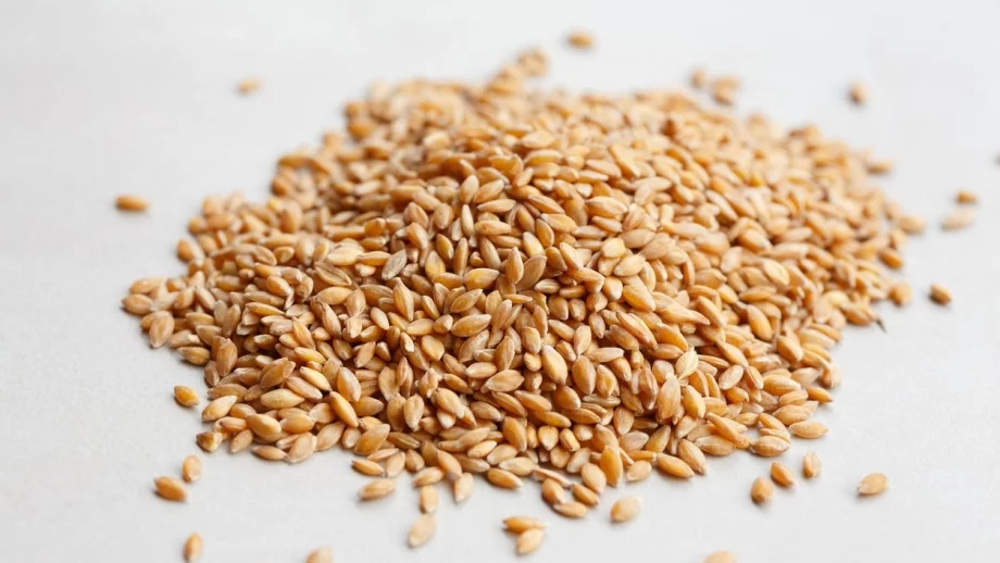 Българи създадоха технология за устойчиво отглеждане на лимец