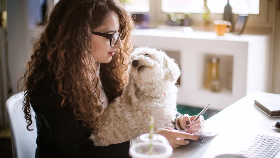 Работодателите, които предлагат специални привилегии за... домашни любимци