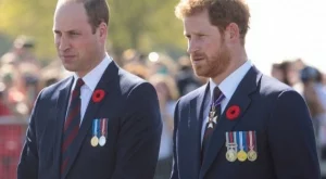 Принц Уилям и Хари с най-октровенния си разказ за принцеса Даяна