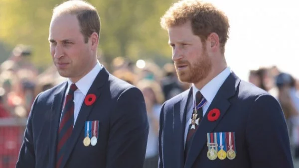 Принц Уилям и Хари с най-октровенния си разказ за принцеса Даяна