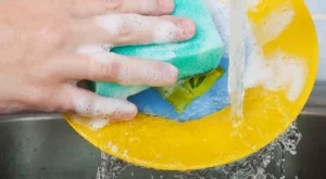 Гъбата в кухнята - по-мръсна от тоалетната