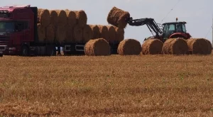 Земеделските програми ще се финансират с 2,91 млрд. лева