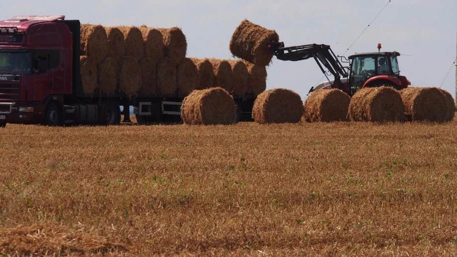 Земеделските програми ще се финансират с 2,91 млрд. лева