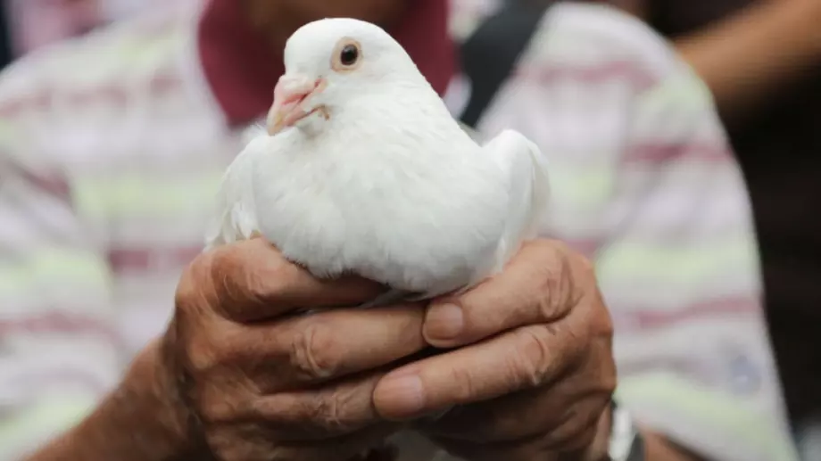 Най-красивата притча за любовта