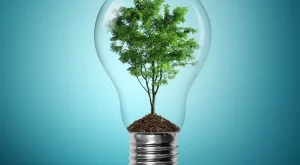 2017/08/22/0487229001503390361