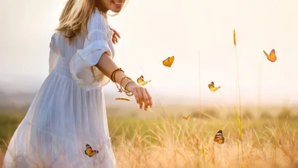 Какви криле биха имали зодиите, ако можеха да летят