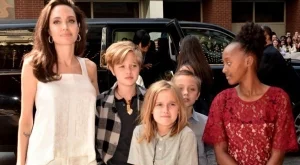 Джоли рискува да загуби родителските си права