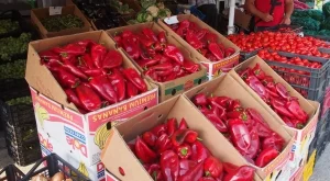 Плодовете и зеленчуците на едро са по-скъпи, отколкото преди година