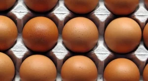 2017/09/14/0386841001505396494