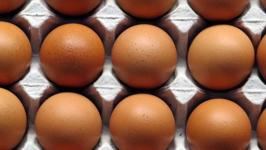Защо яйцата поскъпнаха толкова 