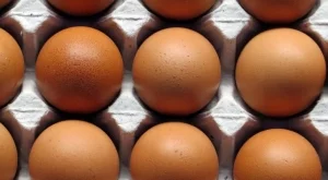 Двойно скочи цената на яйцата в Пазарджик