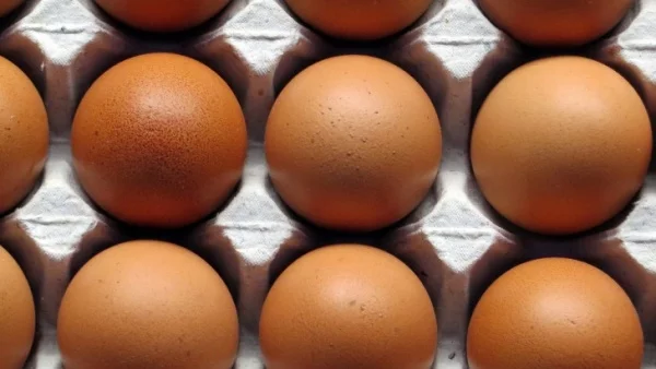 Двойно скочи цената на яйцата в Пазарджик