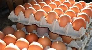 Търговски вериги вдигнаха цената на яйцата пред Великден 