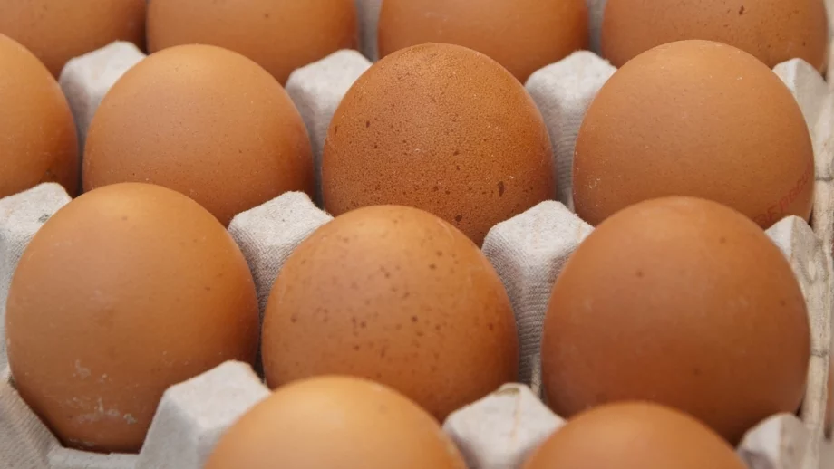 Ежемесечно проверяват за фипронил в яйцата 