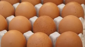 Изтеглят български яйца от пазара заради птичи грип