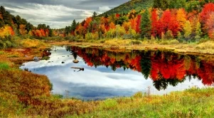 2017/09/18/0264341001505742395