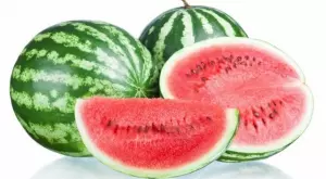 3 август - Световен ден на динята 