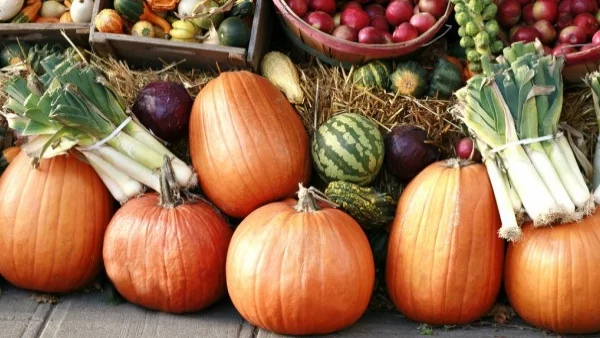 Фест на фермерските пазари