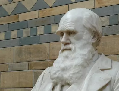150-годишно послание от Дарвин може да е ключът към спасяването на горите 