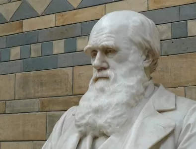 Роден е Чарлз Дарвин, английски биолог 