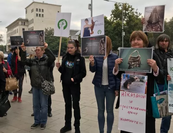 Вегани поискаха забрана на опитите с животни