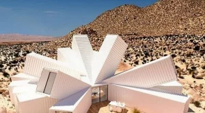 Да живееш в дом-дърво от контейнери 