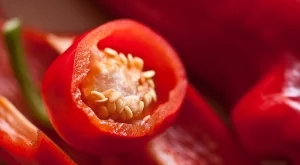 Българи създадоха нов сорт пипер с уникални качества