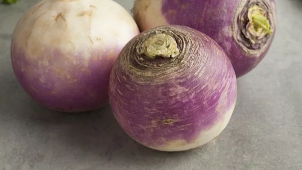 Полезните свойства на ряпата