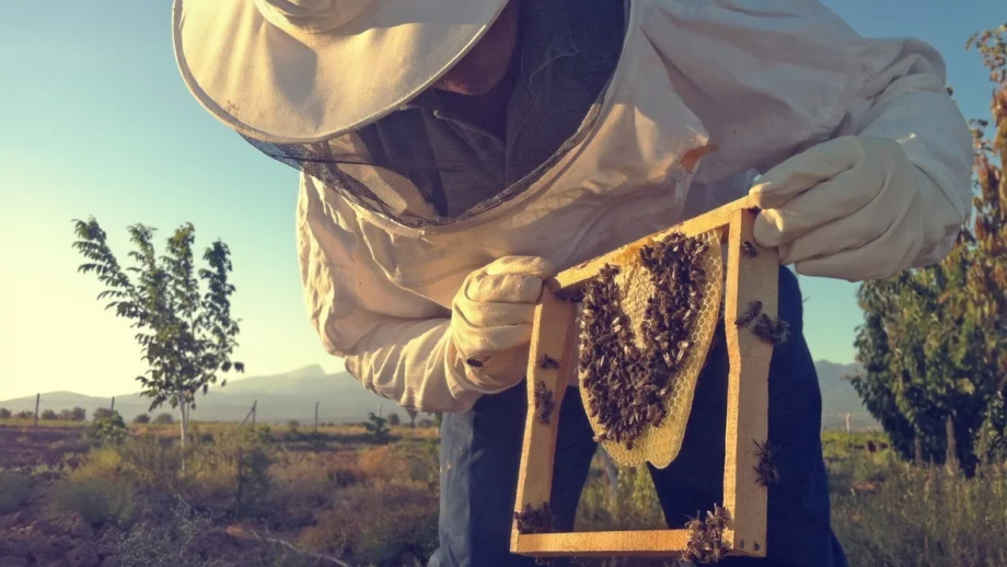 Пчелари протестират с искане за държавна помощ и трайни субсидии