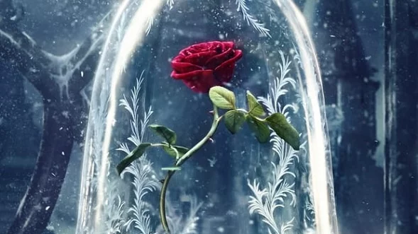 13 цитата от филми на Disney, които ще стоплят сърцето ви 